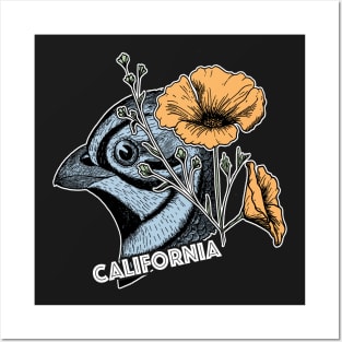 California State Bird and Flower Posters and Art